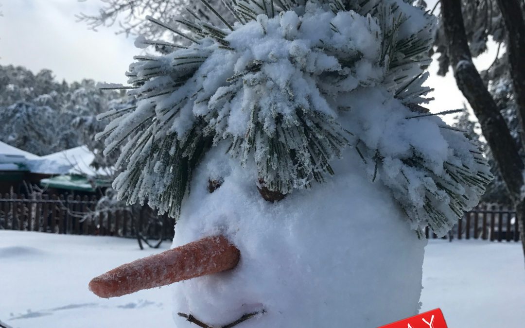 Snow Day!  Store closed Saturday, January 4th