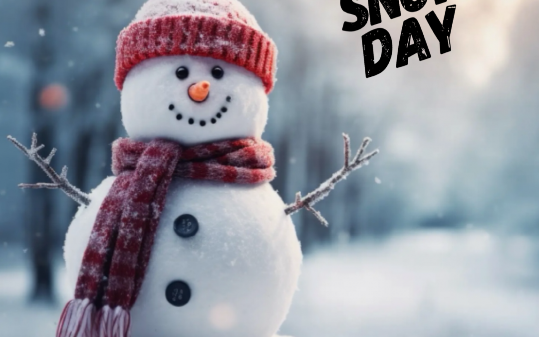 Snow Day! EcoChic Closed 12-11-25